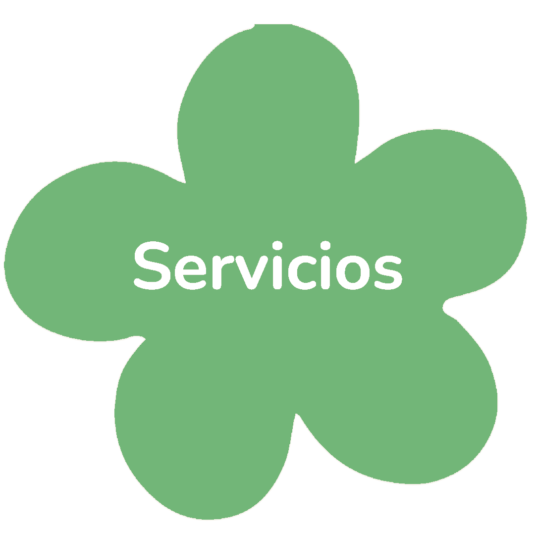 Servicios